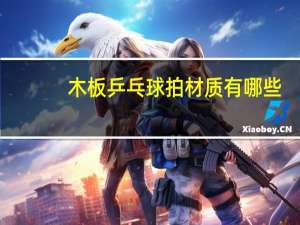 木板乒乓球拍材质有哪些