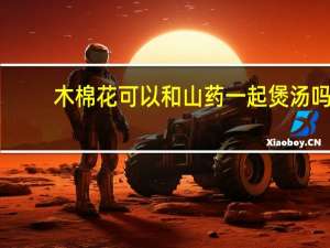 木棉花可以和山药一起煲汤吗