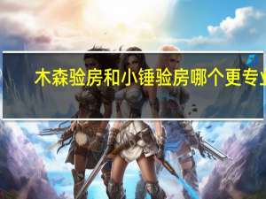 木森验房和小锤验房哪个更专业