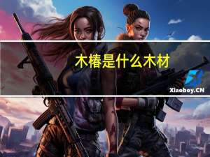 木椿是什么木材