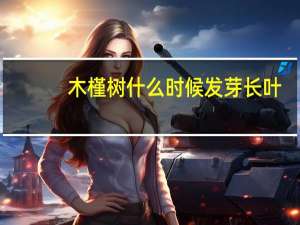 木槿树什么时候发芽长叶