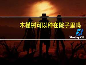 木槿树可以种在院子里吗