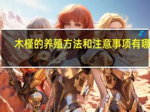 木槿的养殖方法和注意事项有哪些