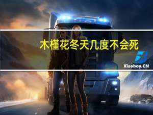 木槿花冬天几度不会死