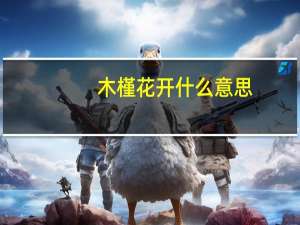 木槿花开什么意思