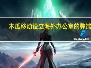 木瓜移动设立海外办公室的弊端是