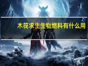 木筏求生生物燃料有什么用
