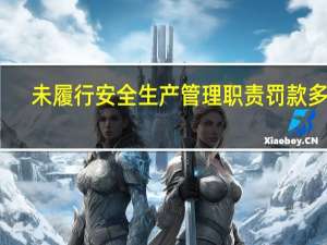 未履行安全生产管理职责罚款多少