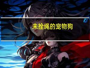 未拴绳的宠物狗