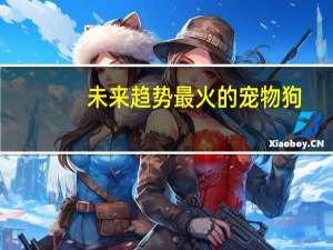 未来趋势最火的宠物狗