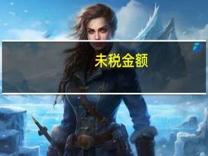 未税金额