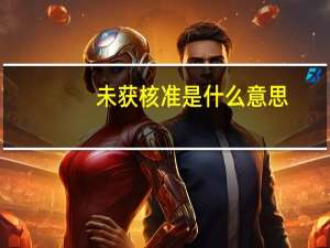 未获核准是什么意思