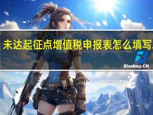 未达起征点增值税申报表怎么填写2020（未达起征点增值税申报表怎么填）