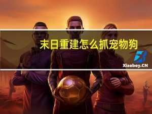 末日重建怎么抓宠物狗