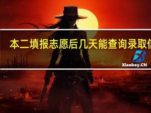 本二填报志愿后几天能查询录取信息