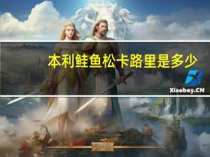本利 鲑鱼松卡路里是多少