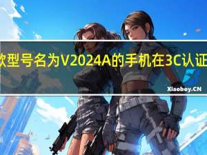 本周一款型号名为V2024A的手机在3C认证网站上被发现
