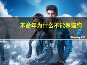 本命年为什么不能养猫狗