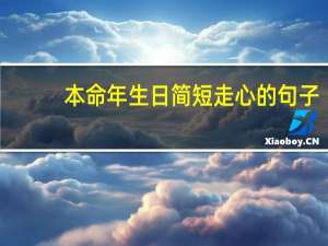 本命年生日简短走心的句子