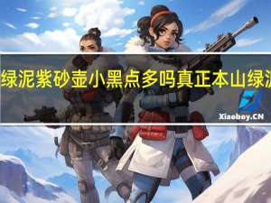本山绿泥紫砂壶小黑点多吗 真正本山绿泥会吐黑吗