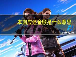 本期应还金额是什么意思