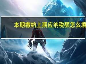本期缴纳上期应纳税额怎么填