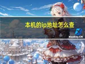 本机的ip地址怎么查（本机的ip地址）