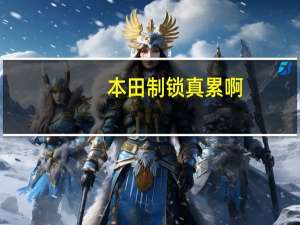 本田制锁真累啊（本田制锁-广东有限公司简介）