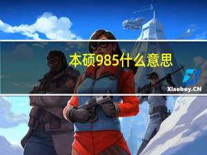 本硕985什么意思