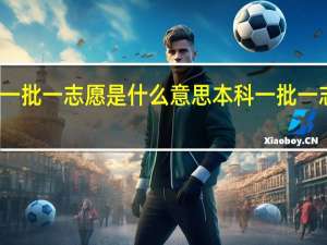 本科一批一志愿是什么意思本科一批一志愿的含义