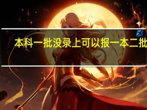 本科一批没录上可以报一本二批吗