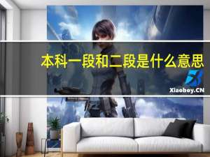 本科一段和二段是什么意思