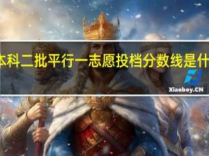 本科二批平行一志愿投档分数线是什么意思