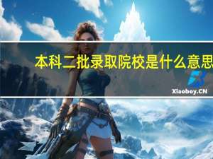 本科二批录取院校是什么意思