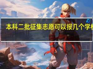 本科二批征集志愿可以报几个学校啊