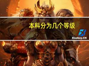 本科分为几个等级
