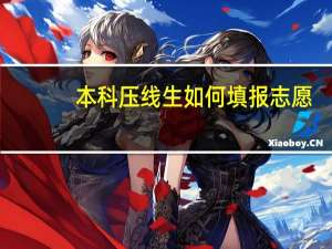 本科压线生如何填报志愿。