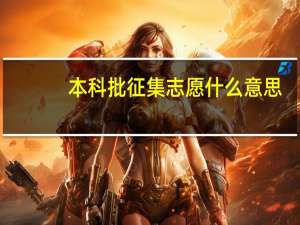 本科批征集志愿什么意思