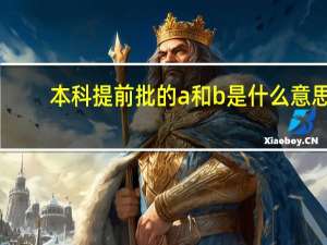 本科提前批的a和b是什么意思