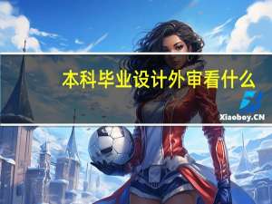 本科毕业设计外审看什么