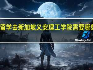 本科留学去新加坡义安理工学院需要哪些申请条件