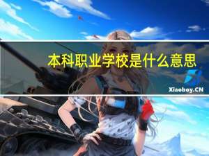 本科职业学校是什么意思