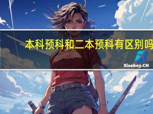 本科预科和二本预科有区别吗
