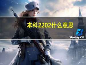 本科2 2什么意思