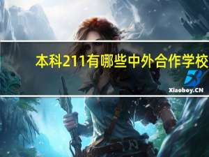 本科211有哪些中外合作学校