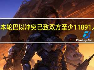 本轮巴以冲突已致双方至少11891人死亡