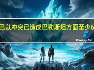 本轮巴以冲突已造成巴勒斯坦方面至少6960人死亡