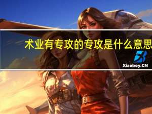 术业有专攻的专攻是什么意思