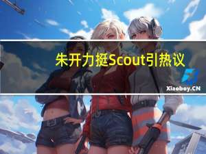 朱开力挺Scout引热议