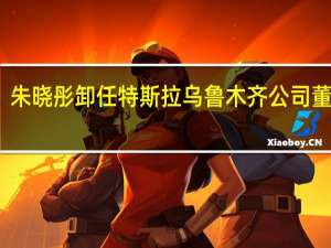 朱晓彤卸任特斯拉乌鲁木齐公司董事长